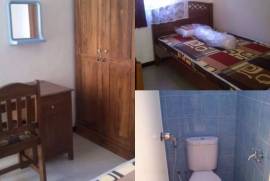 Kost Putri Sansivera