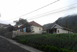 Villa nyaman Bromo