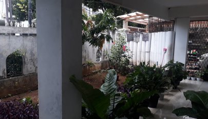 Kost Putri / Karyawati Jl. Bacang 3