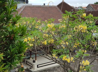 Yande Kost Denpasar Fasilitas Lengkap