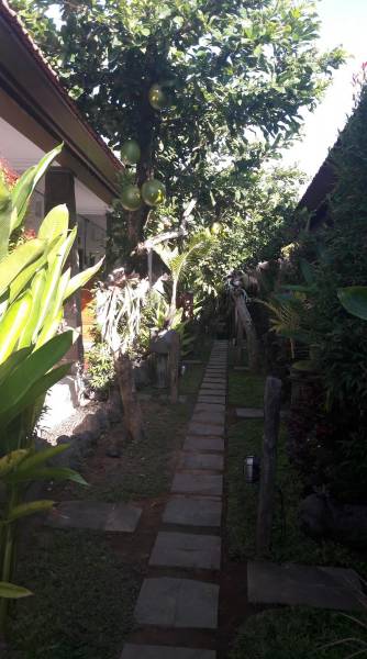 Kubu kumpy( kos lengkap)
