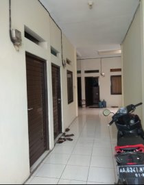 KOST MATRAMAN UTAN KAYU