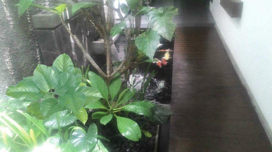 Kost Putri Citrawati