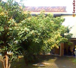 Rumah Kos Kamar Kosong di Pugeran, Maguwoharjo, SlemAN, DIY