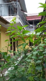 Shinta's Home Stay