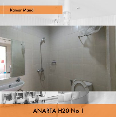 Koze Kost Anarta H20/1