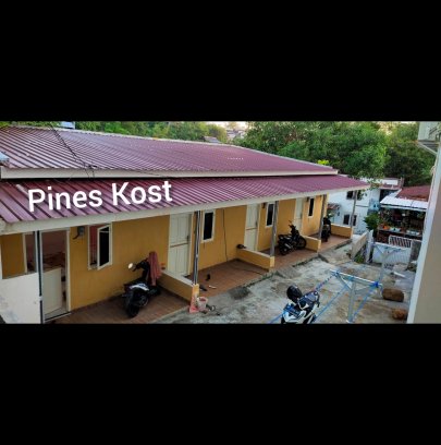 Pines Kost