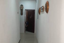 Kost kelapa gading janur hijau VIII pandawa 