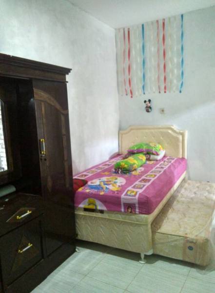 Kost megdi