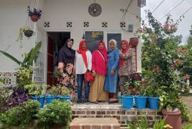 Sophia Family Homestay